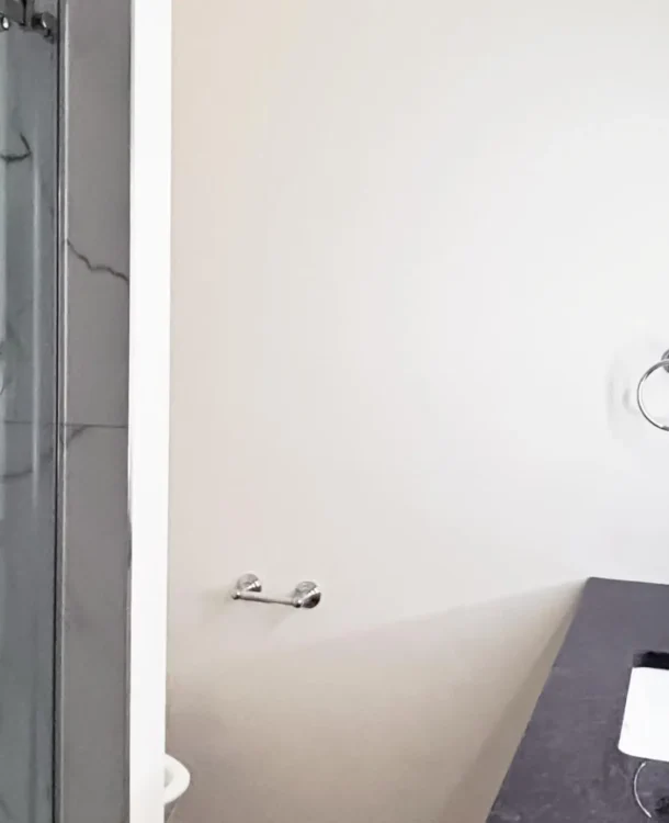 Dieu Hoa & Rafael's Main Bathroom renovation in Ottawa — project photo 01