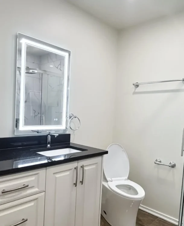 Dieu Hoa & Rafael's Basement Bathroom renovation in Ottawa — project photo 01