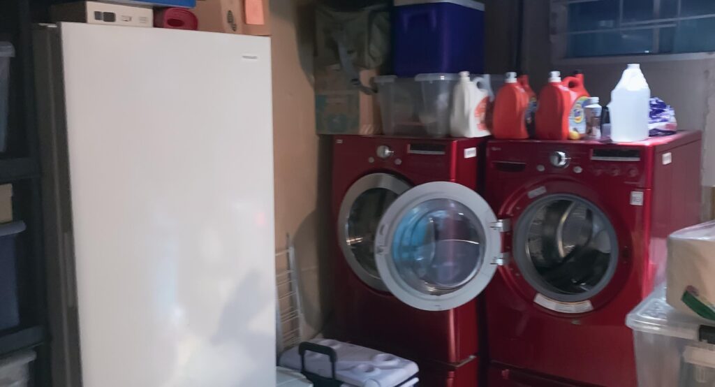 Mildred & Thomas' Laundry Room renovation in Ottawa — project photo 02