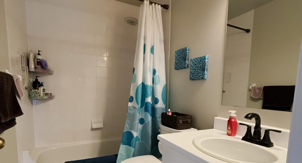 Lisa & Doug's Main Bathroom renovation in Ottawa — project photo 02