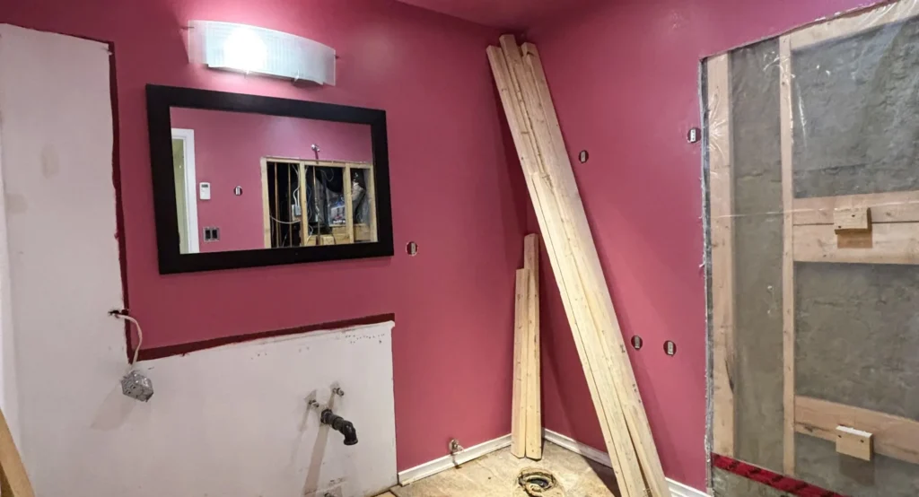 Dieu Hoa & Rafael's Basement Bathroom renovation in Ottawa — project photo 03