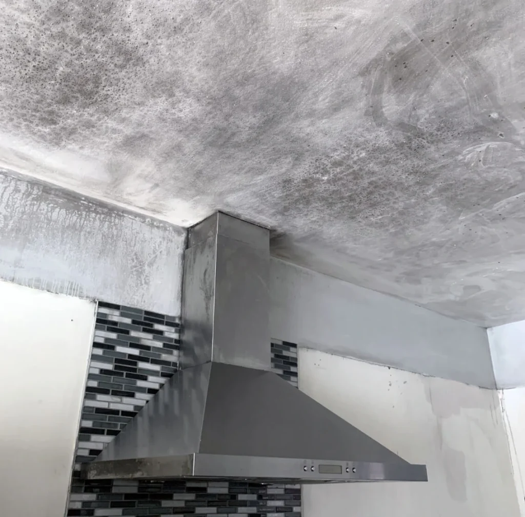 Erica's Kitchen renovation in Ottawa — project photo 04