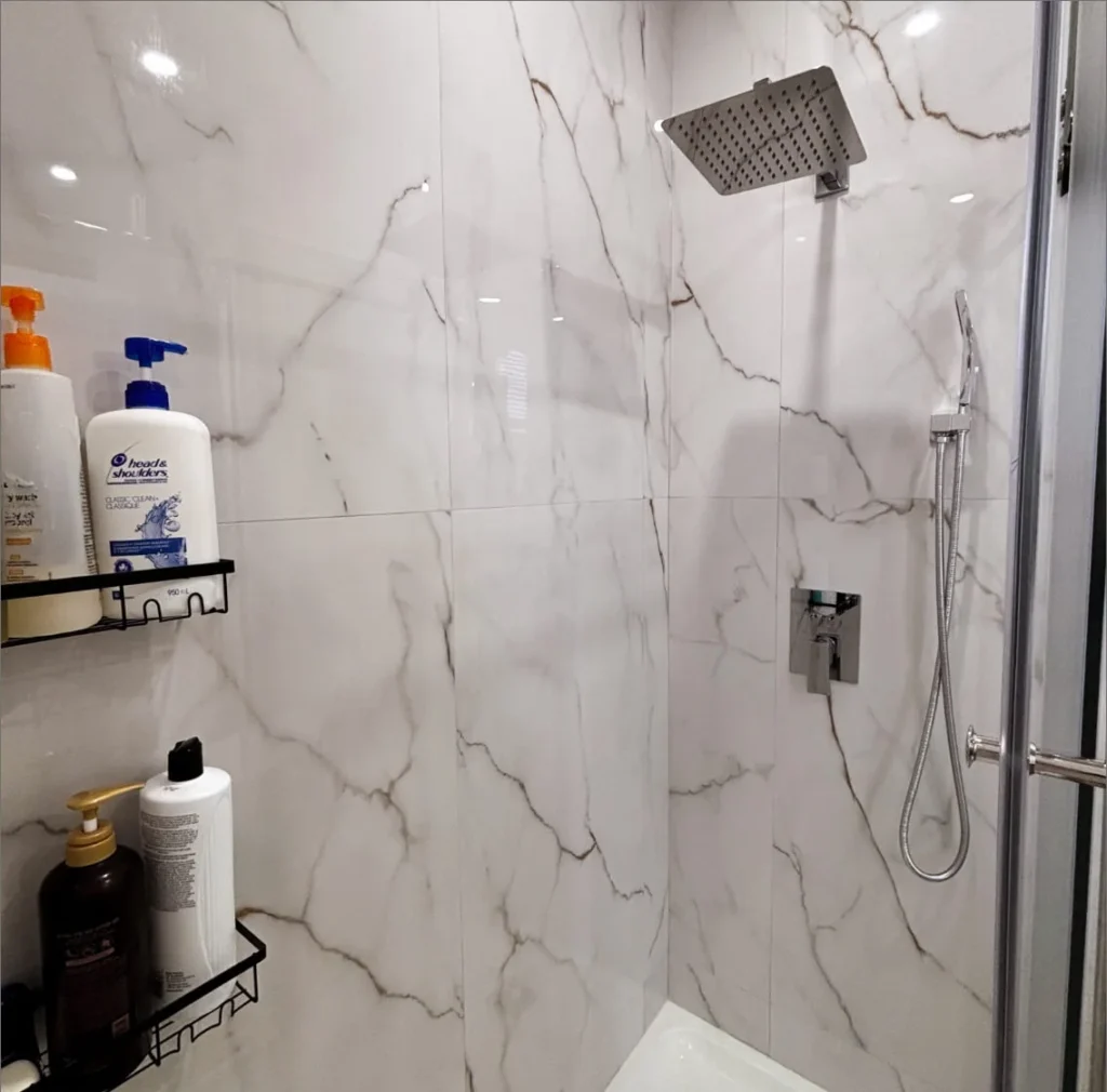 Dieu Hoa & Rafael's Master Ensuite renovation in Ottawa — project photo 05