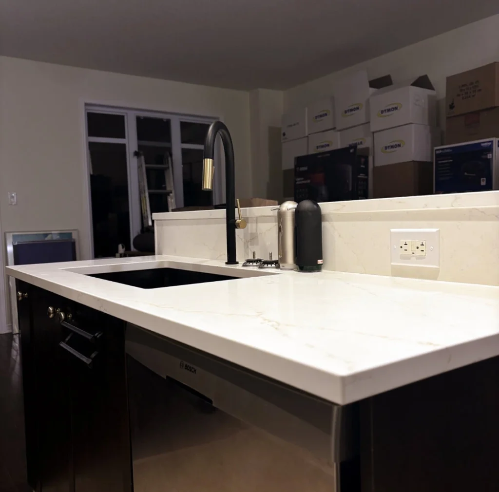 Olivier and Barbara's Kitchen renovation in Ottawa — project photo 07